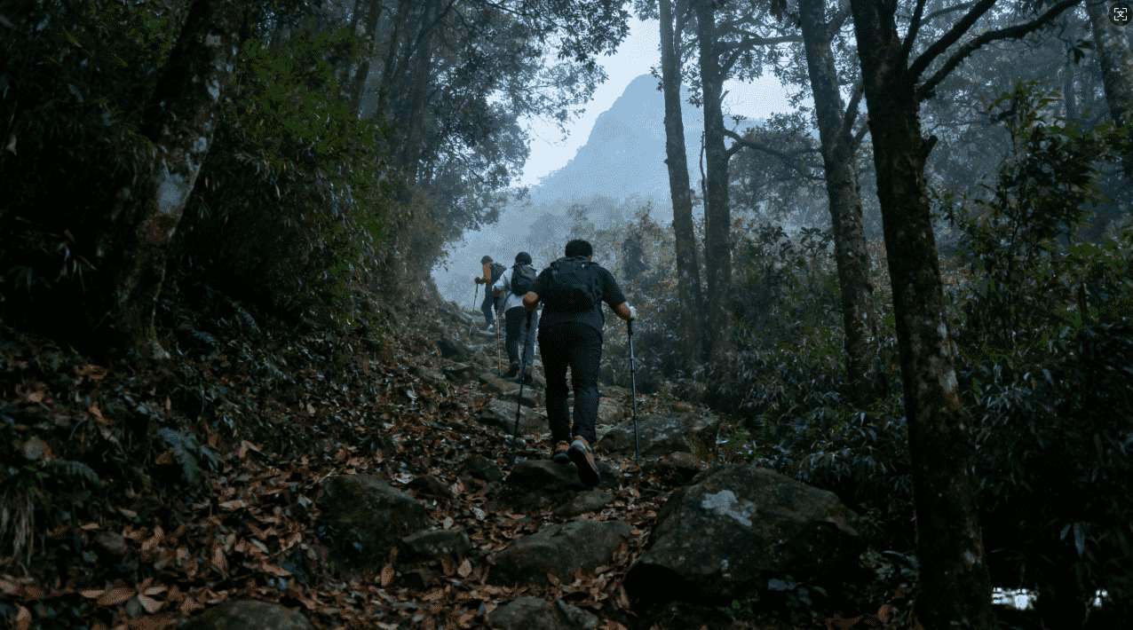 ins加速器风驰：全面提升账号增长速度